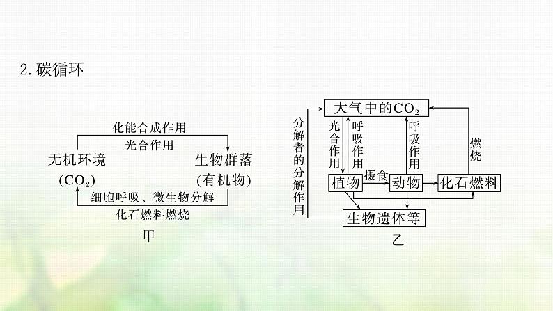 苏教版2024届高考生物一轮复习生态系统的物质循环和信息传递课件第6页