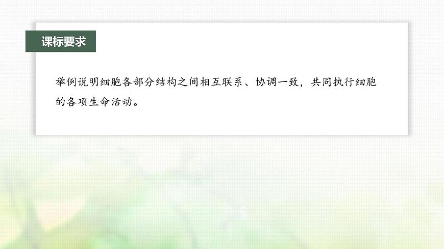蘇教版2024屆高考生物一輪復(fù)習(xí)細(xì)胞各部分結(jié)構(gòu)分工合作課件第2頁