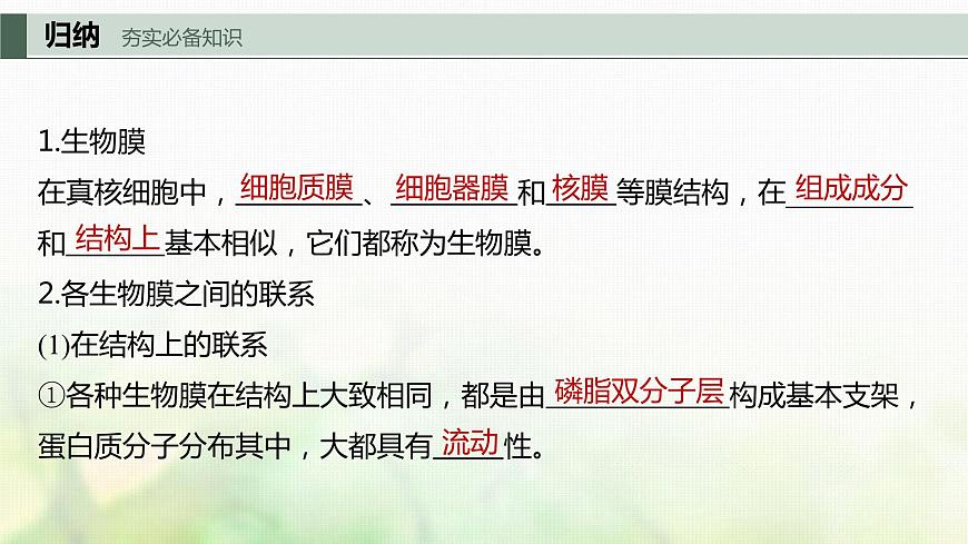 蘇教版2024屆高考生物一輪復(fù)習(xí)細(xì)胞各部分結(jié)構(gòu)分工合作課件第3頁