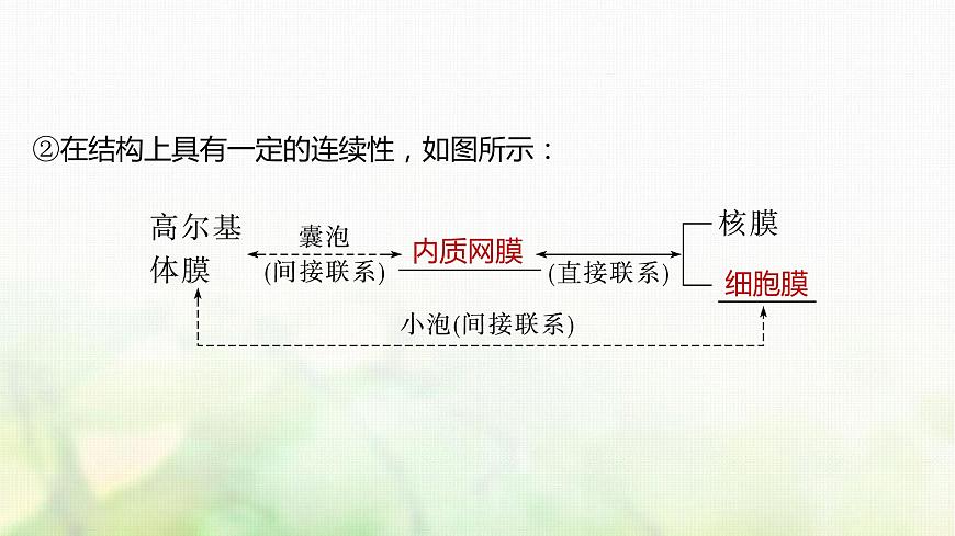 蘇教版2024屆高考生物一輪復(fù)習(xí)細(xì)胞各部分結(jié)構(gòu)分工合作課件第4頁