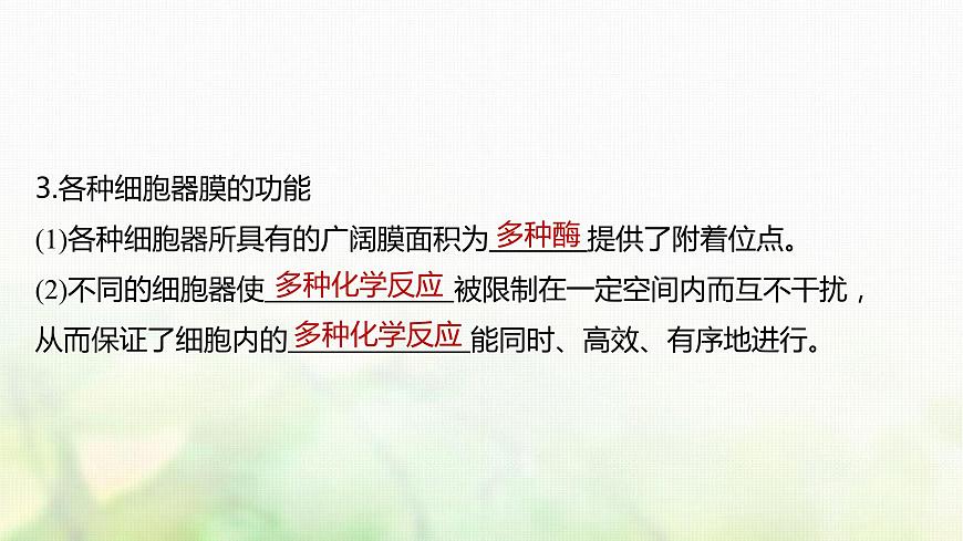 蘇教版2024屆高考生物一輪復(fù)習(xí)細(xì)胞各部分結(jié)構(gòu)分工合作課件第6頁