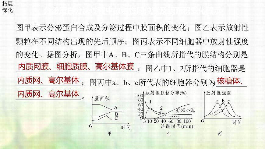 蘇教版2024屆高考生物一輪復(fù)習(xí)細(xì)胞各部分結(jié)構(gòu)分工合作課件第7頁