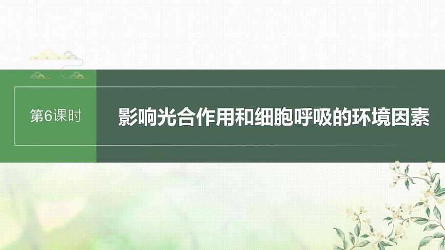 蘇教版2024屆高考生物一輪復(fù)習(xí)影響光合作用和細(xì)胞呼吸的環(huán)境因素課件第1頁
