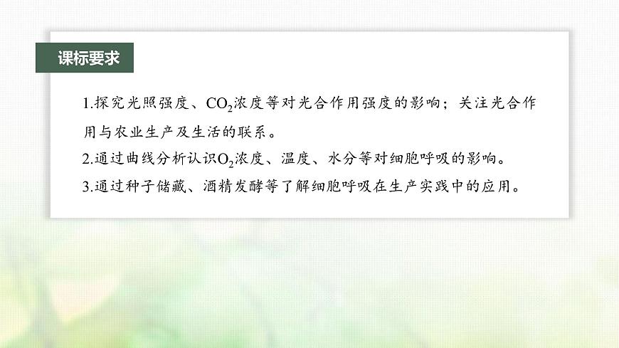 蘇教版2024屆高考生物一輪復(fù)習(xí)影響光合作用和細(xì)胞呼吸的環(huán)境因素課件第2頁