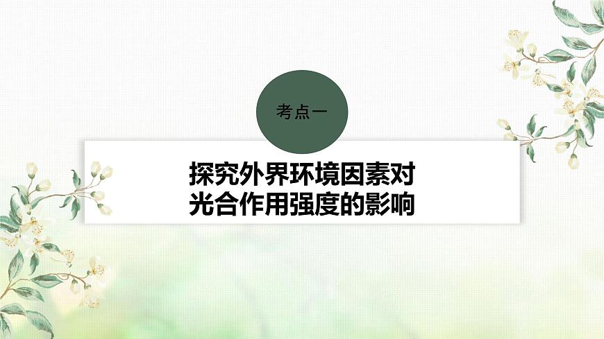 蘇教版2024屆高考生物一輪復(fù)習(xí)影響光合作用和細(xì)胞呼吸的環(huán)境因素課件第4頁