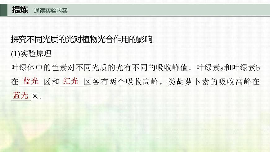 蘇教版2024屆高考生物一輪復(fù)習(xí)影響光合作用和細(xì)胞呼吸的環(huán)境因素課件第5頁