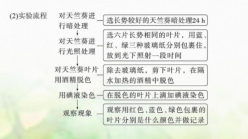 蘇教版2024屆高考生物一輪復(fù)習(xí)影響光合作用和細(xì)胞呼吸的環(huán)境因素課件第6頁