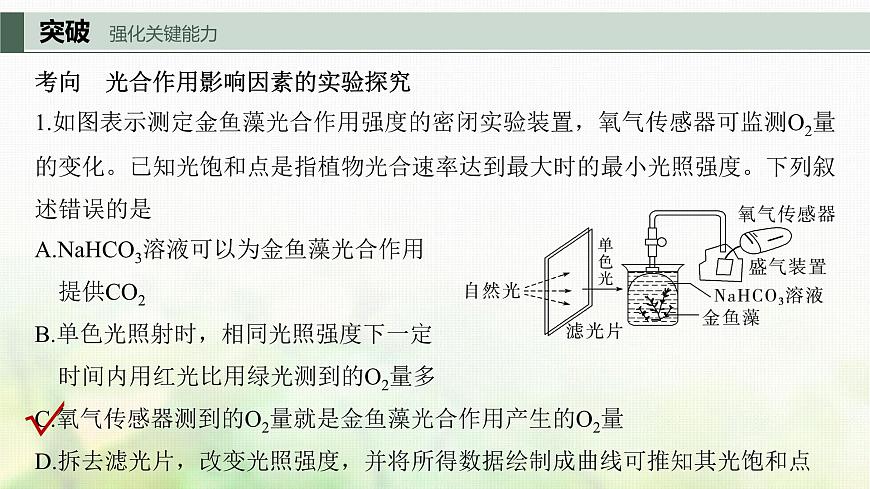 蘇教版2024屆高考生物一輪復(fù)習(xí)影響光合作用和細(xì)胞呼吸的環(huán)境因素課件第8頁
