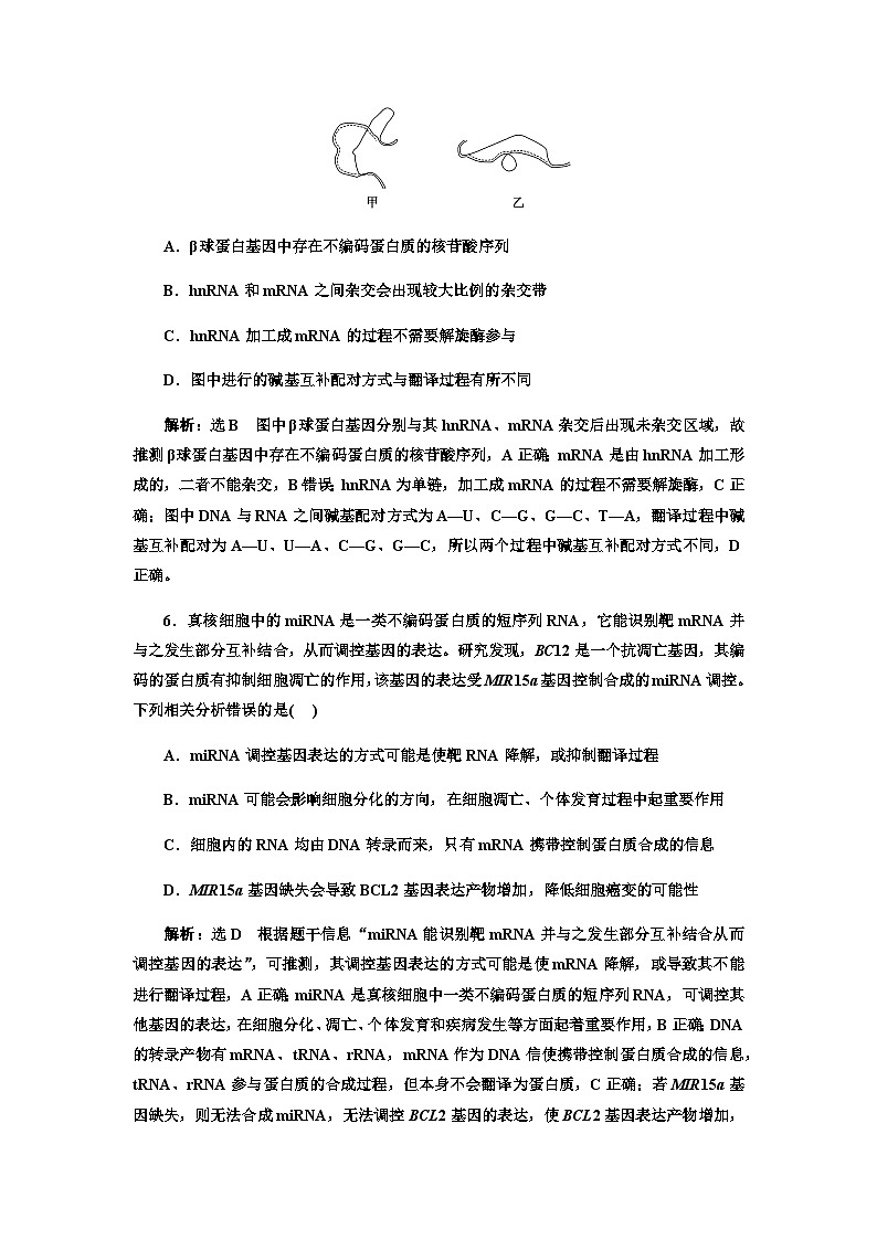 2024届人教版高考生物一轮复习基因的表达作业含答案第3页
