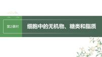 2024年高考生物一輪復(fù)習(xí)（新人教版） 第1單元　第2課時　細胞中的無機物、糖類和脂質(zhì)