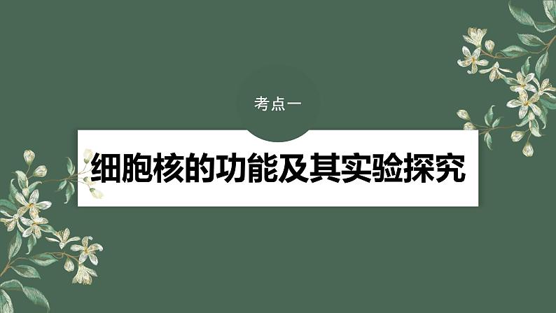 2024年高考生物一轮复习(新人教版) 第2单元 第3课时 细胞核的结构和功能 练习课件04