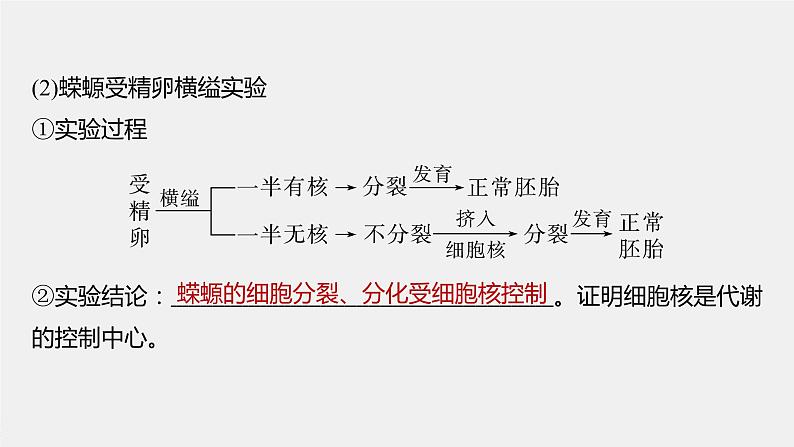 2024年高考生物一轮复习(新人教版) 第2单元 第3课时 细胞核的结构和功能 练习课件06