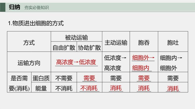 2024年高考生物一轮复习（新人教版） 第2单元　第5课时　物质出入细胞的方式及影响因素 练习课件05