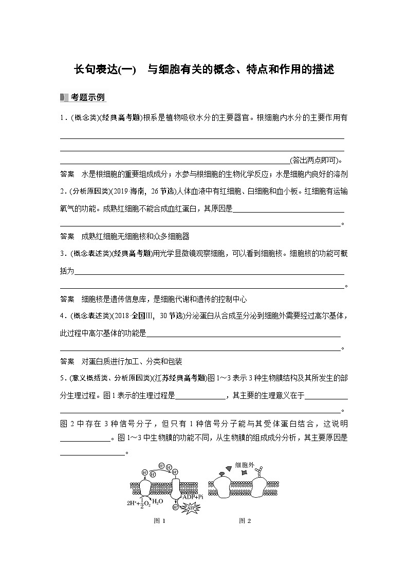 2024年高考生物一轮复习(新人教版) 第2单元 长句表达(一) 与细胞有关的概念、特点和作用的描述第1页