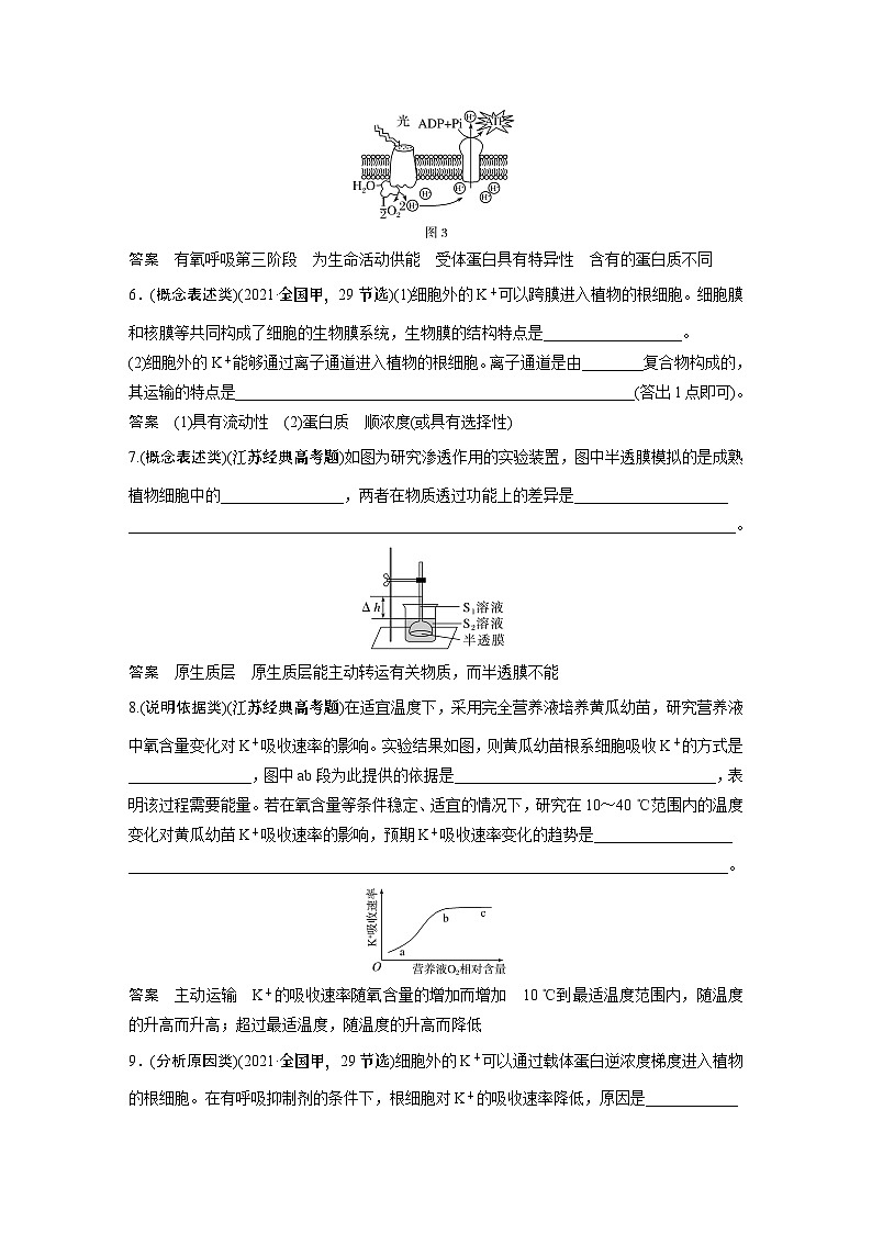 2024年高考生物一轮复习(新人教版) 第2单元 长句表达(一) 与细胞有关的概念、特点和作用的描述第2页