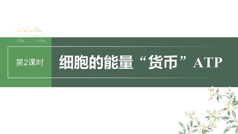 2024年高考生物一轮复习(新人教版) 第3单元 第2课时 细胞的能量“货币”ATP 练习课件01