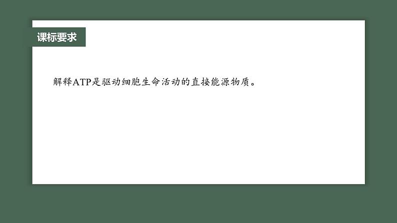 2024年高考生物一轮复习(新人教版) 第3单元 第2课时 细胞的能量“货币”ATP 练习课件02