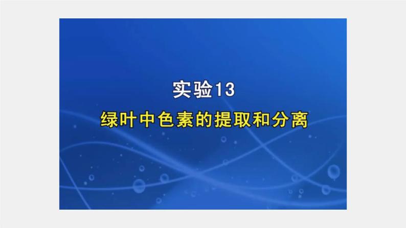 2024年高考生物一轮复习（新人教版） 第3单元　第5课时　捕获光能的色素和结构及光合作用的原理 练习课件07