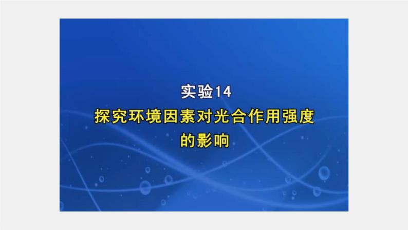 2024年高考生物一轮复习（新人教版） 第3单元　第6课时　光合作用的影响因素及其应用 练习课件07