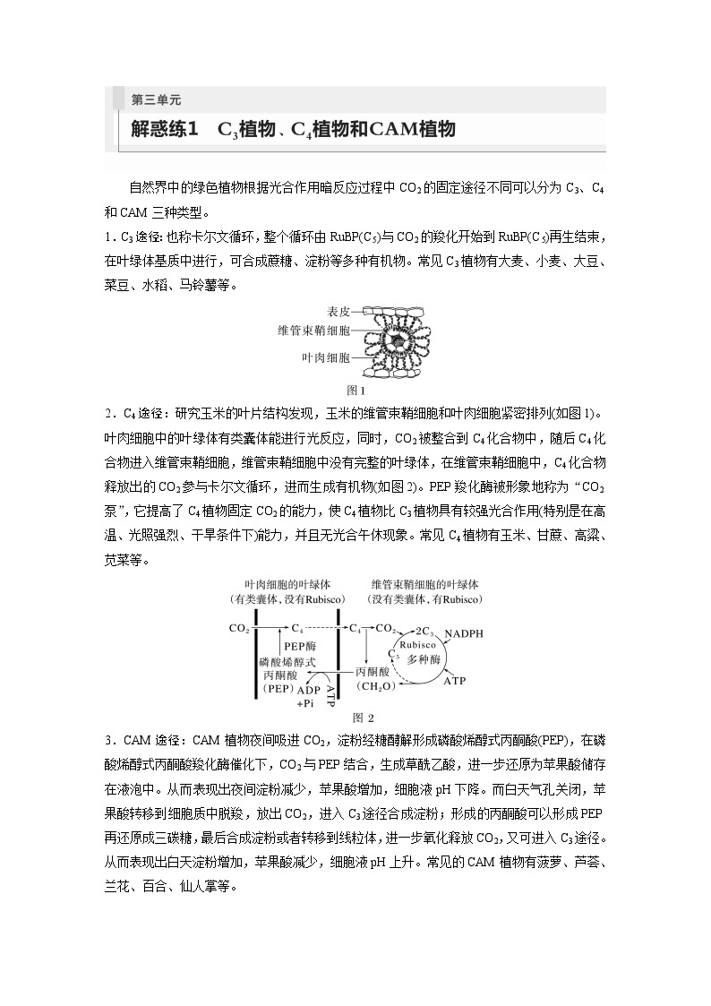 2024年高考生物一轮复习（新人教版） 第3单元　解惑练1　C3植物、C4植物和CAM植物01