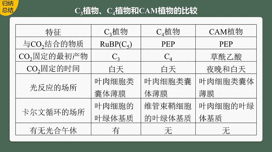 2024年高考生物一輪復(fù)習(xí)（新人教版） 第3單元　解惑練1　C3植物、C4植物和CAM植物第5頁(yè)