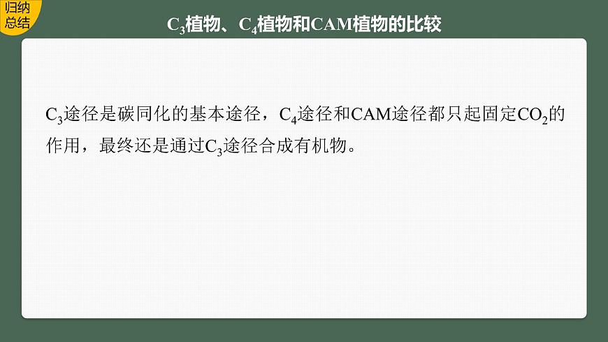 2024年高考生物一輪復(fù)習(xí)（新人教版） 第3單元　解惑練1　C3植物、C4植物和CAM植物第6頁(yè)