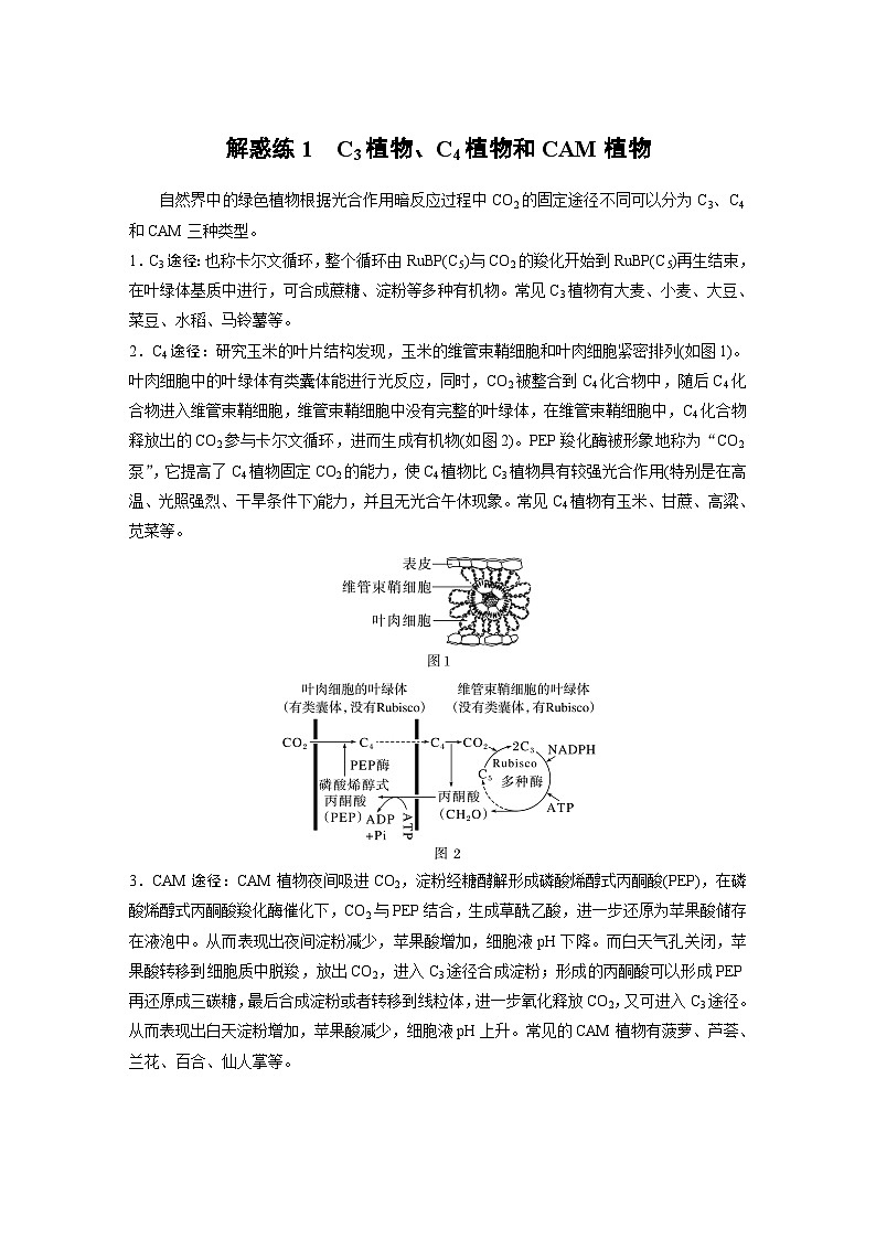 2024年高考生物一輪復(fù)習(xí)（新人教版） 第3單元　解惑練1　C3植物、C4植物和CAM植物第1頁(yè)