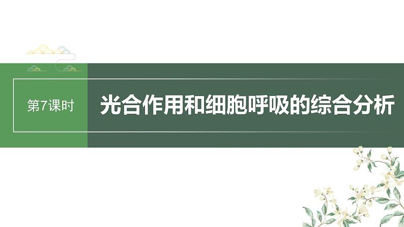 2024年高考生物一轮复习(新人教版) 第3单元 第7课时 光合作用和细胞呼吸的综合分析 练习课件01