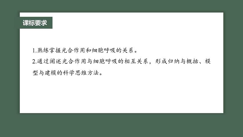 2024年高考生物一轮复习(新人教版) 第3单元 第7课时 光合作用和细胞呼吸的综合分析 练习课件02