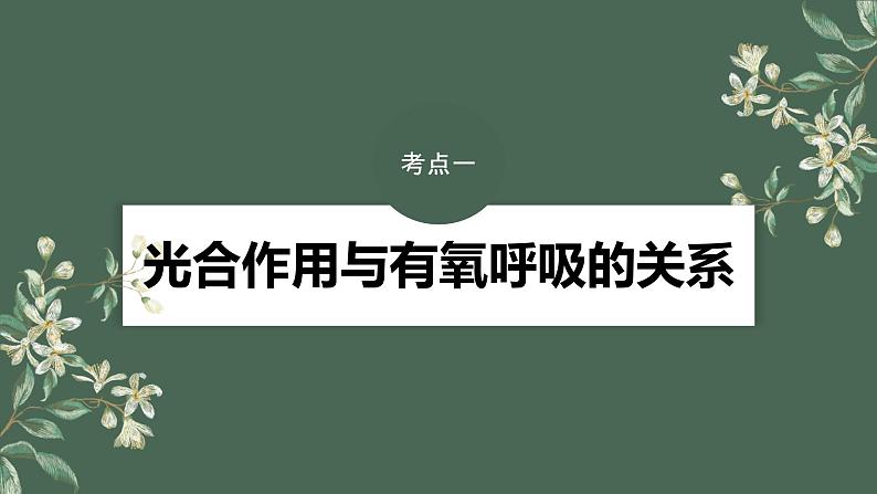 2024年高考生物一轮复习(新人教版) 第3单元 第7课时 光合作用和细胞呼吸的综合分析 练习课件04