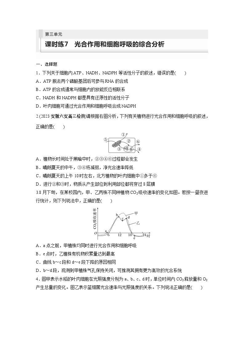 2024年高考生物一轮复习（新人教版） 第3单元　第7课时　光合作用和细胞呼吸的综合分析 练习课件01