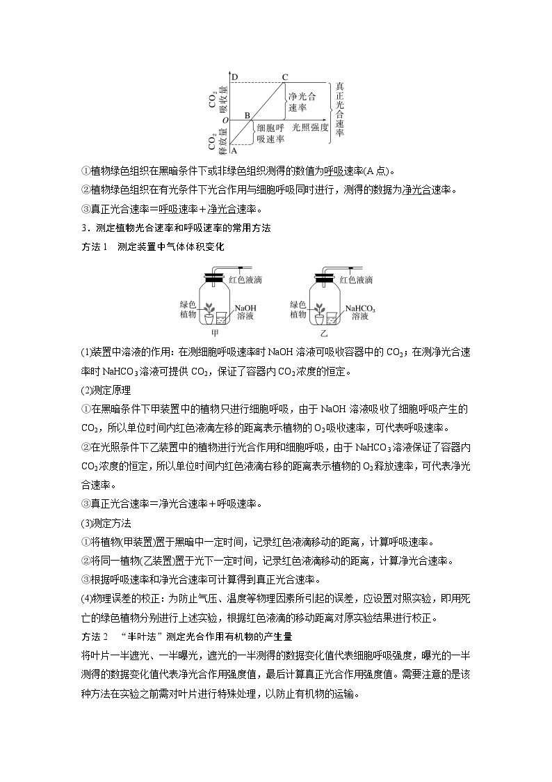 2024年高考生物一轮复习（新人教版） 第3单元　第7课时　光合作用和细胞呼吸的综合分析 练习课件03