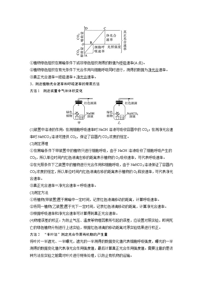 2024年高考生物一轮复习(新人教版) 第3单元 第7课时 光合作用和细胞呼吸的综合分析 练习课件03