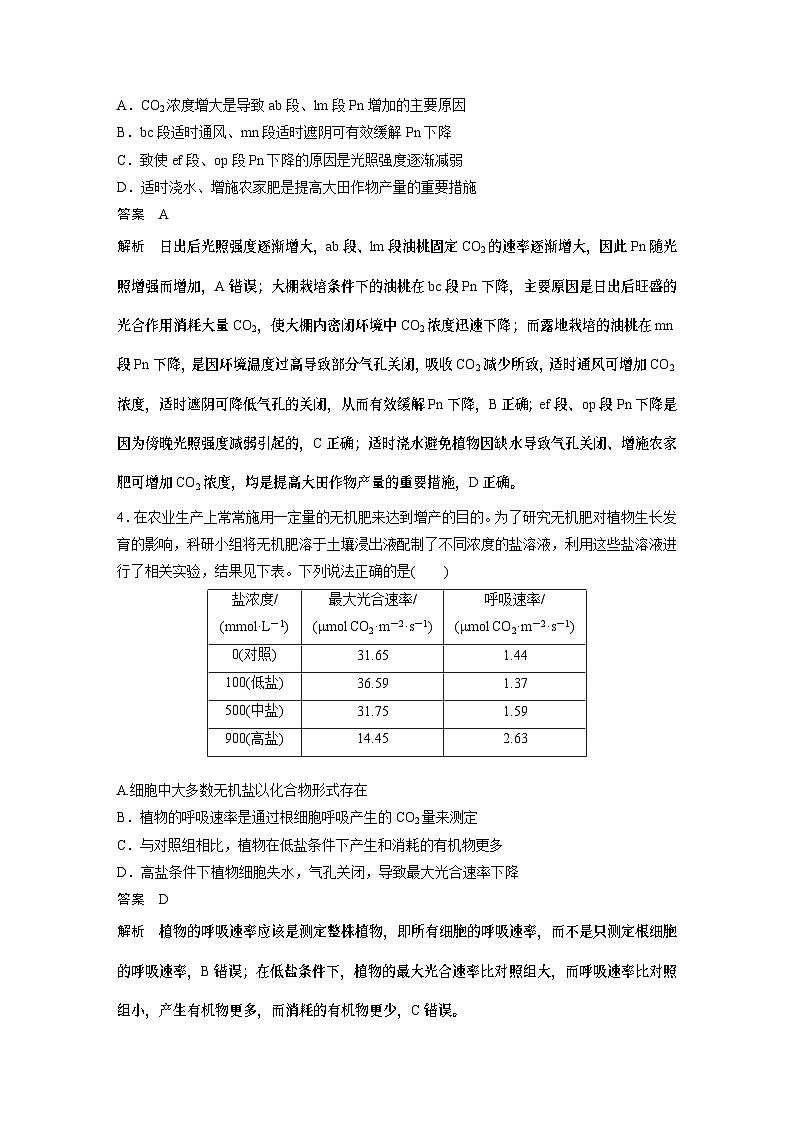 2024年高考生物一轮复习(新人教版) 第3单元 微专题二 提高农作物产量第3页
