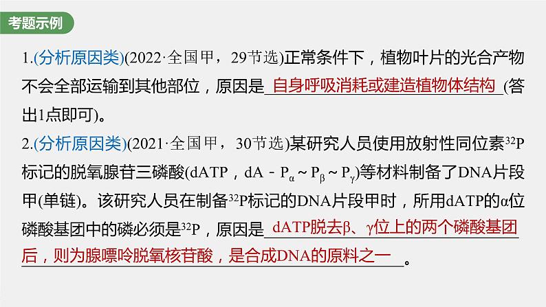 2024年高考生物一轮复习(新人教版) 第3单元 长句表达(二) 细胞代谢中的原因分析第2页