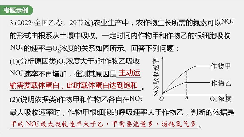 2024年高考生物一轮复习(新人教版) 第3单元 长句表达(二) 细胞代谢中的原因分析第3页