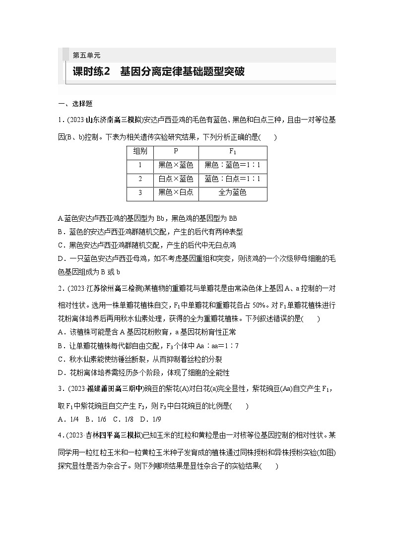 第5单元 课时练2 基因分离定律基础题型突破第1页