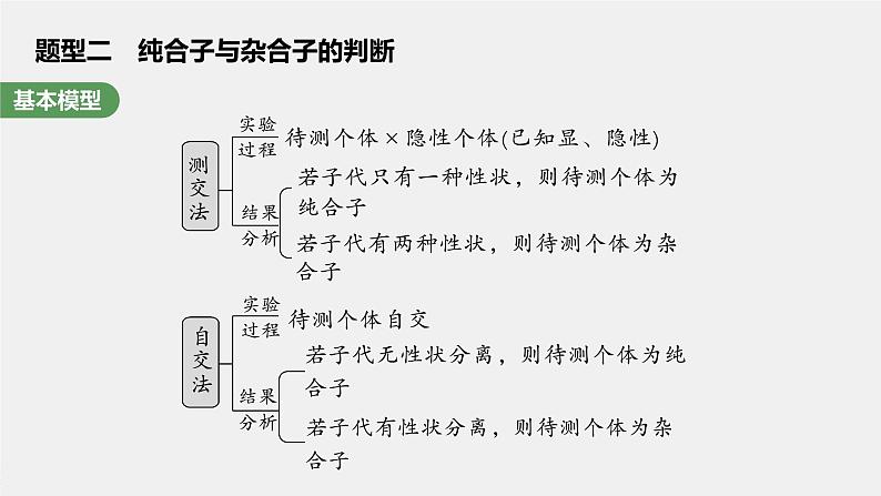 2024年高考生物一轮复习(新人教版) 第5单元 第2课时 基因分离定律基础题型突破第8页