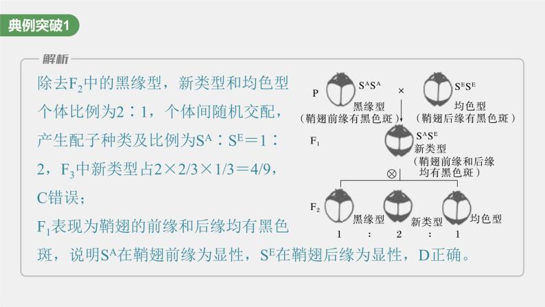 2024年高考生物一轮复习（新人教版） 第5单元　第3课时　基因分离定律拓展题型突破06