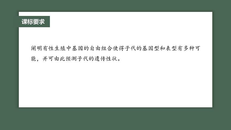 2024年高考生物一轮复习(新人教版) 第5单元 第4课时 自由组合定律的发现及应用第2页