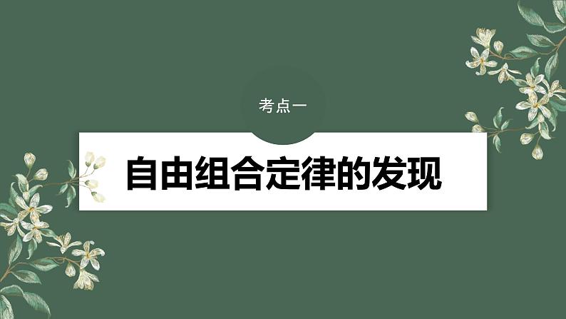 2024年高考生物一轮复习(新人教版) 第5单元 第4课时 自由组合定律的发现及应用第4页