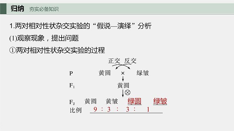 2024年高考生物一轮复习(新人教版) 第5单元 第4课时 自由组合定律的发现及应用第5页