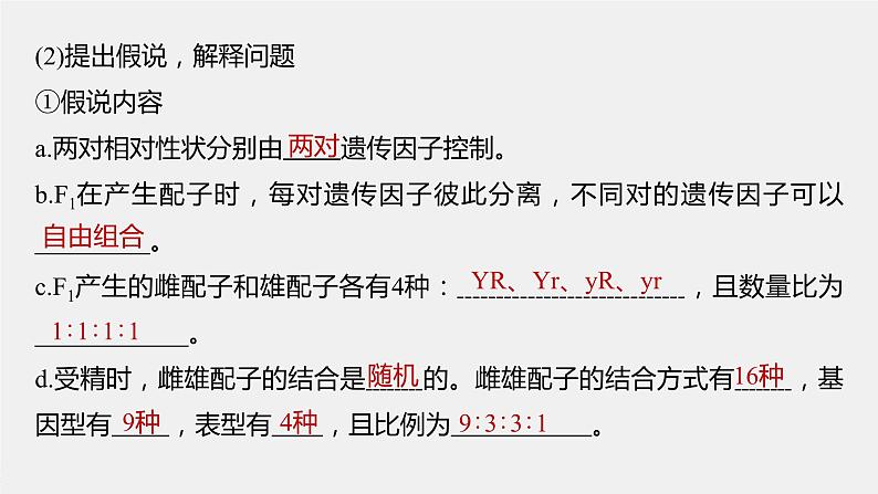 2024年高考生物一轮复习(新人教版) 第5单元 第4课时 自由组合定律的发现及应用第7页