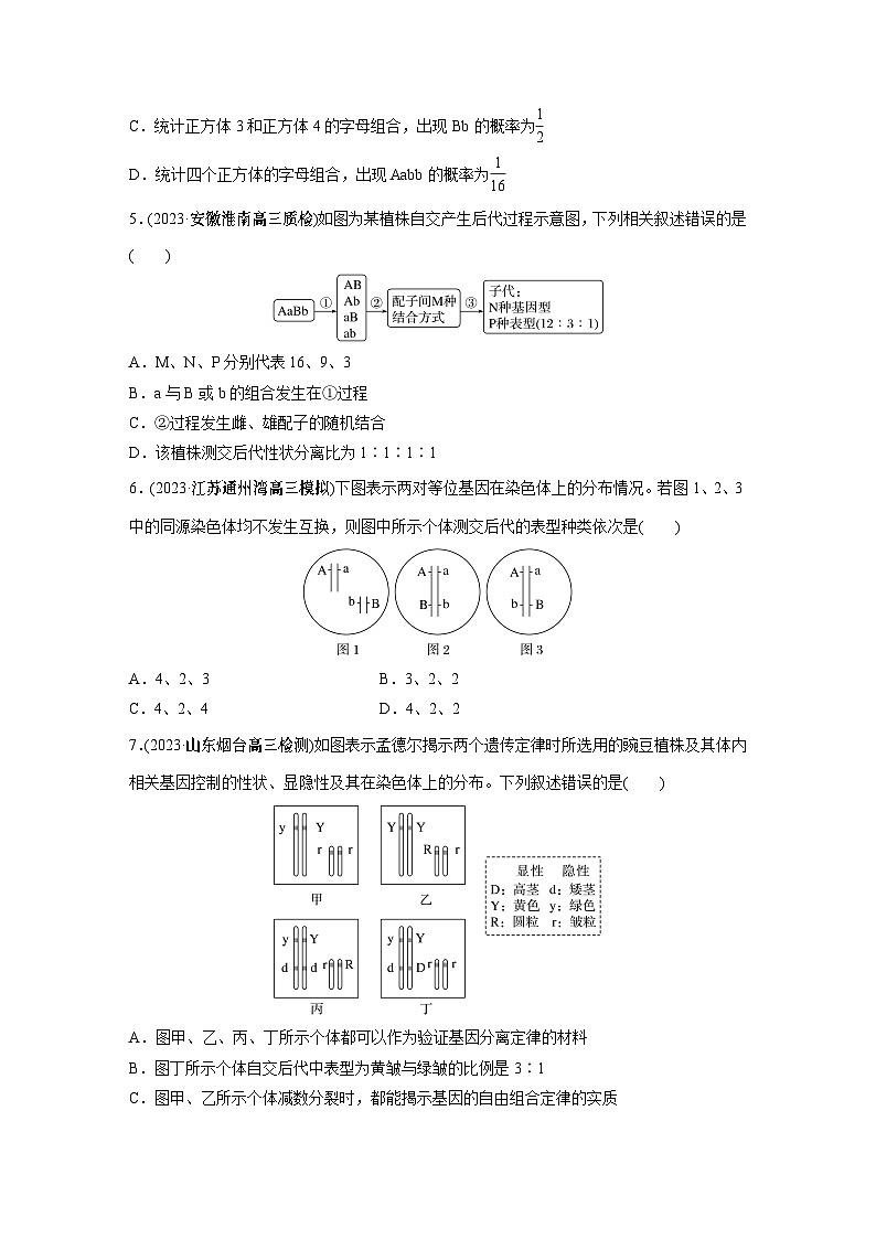 第5单元 课时练4 自由组合定律的发现及应用第2页