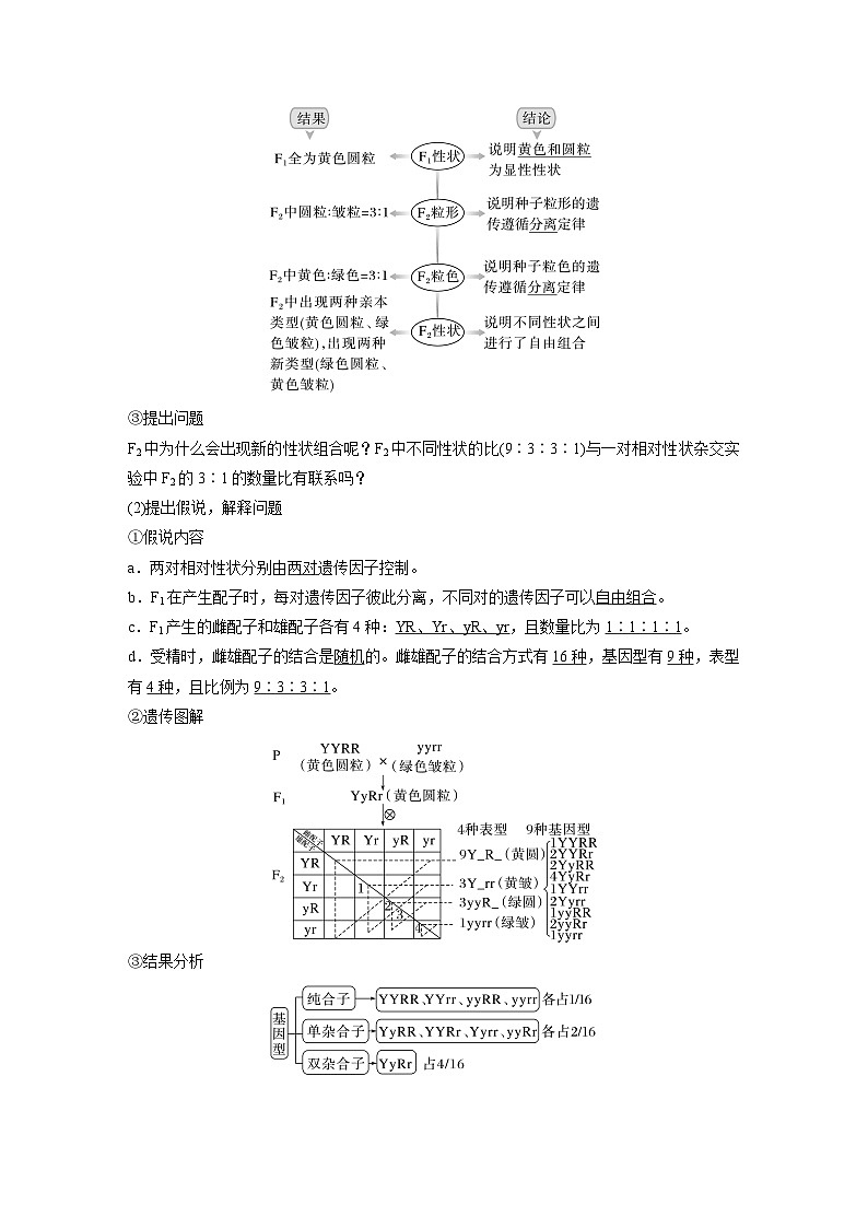 2024年高考生物一轮复习(新人教版) 第5单元 第4课时 自由组合定律的发现及应用第2页