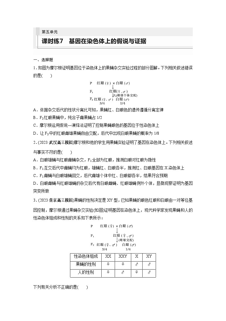 第5单元 课时练7 基因在染色体上的假说与证据第1页