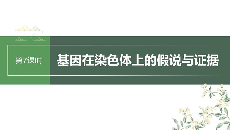 2024年高考生物一轮复习(新人教版) 第5单元 第7课时 基因在染色体上的假说与证据第1页