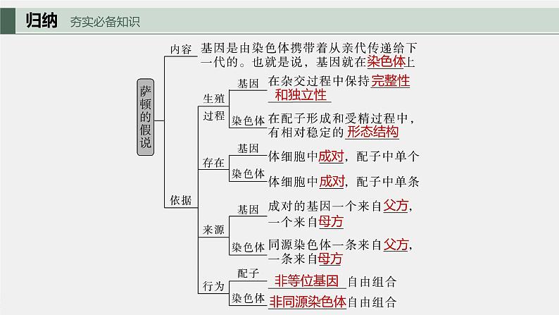 2024年高考生物一轮复习(新人教版) 第5单元 第7课时 基因在染色体上的假说与证据第5页
