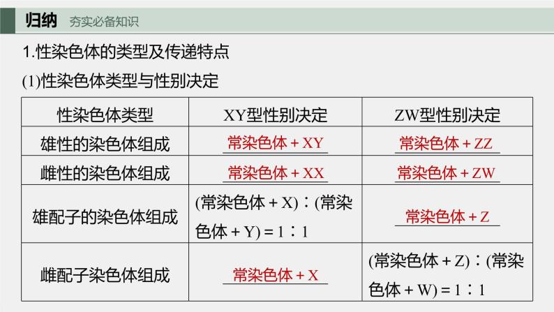 2024年高考生物一轮复习（新人教版） 第5单元　第8课时　伴性遗传的特点与应用及人类遗传病 练习课件05