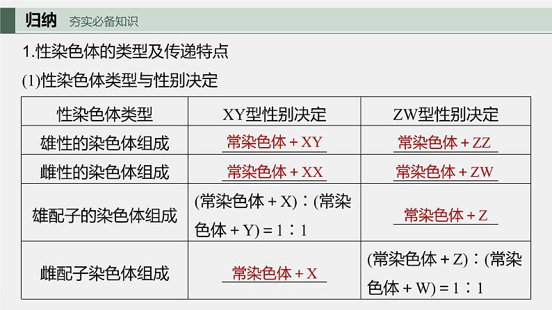 2024年高考生物一轮复习(新人教版) 第5单元 第8课时 伴性遗传的特点与应用及人类遗传病第5页
